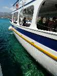 ������� ����� - ������.